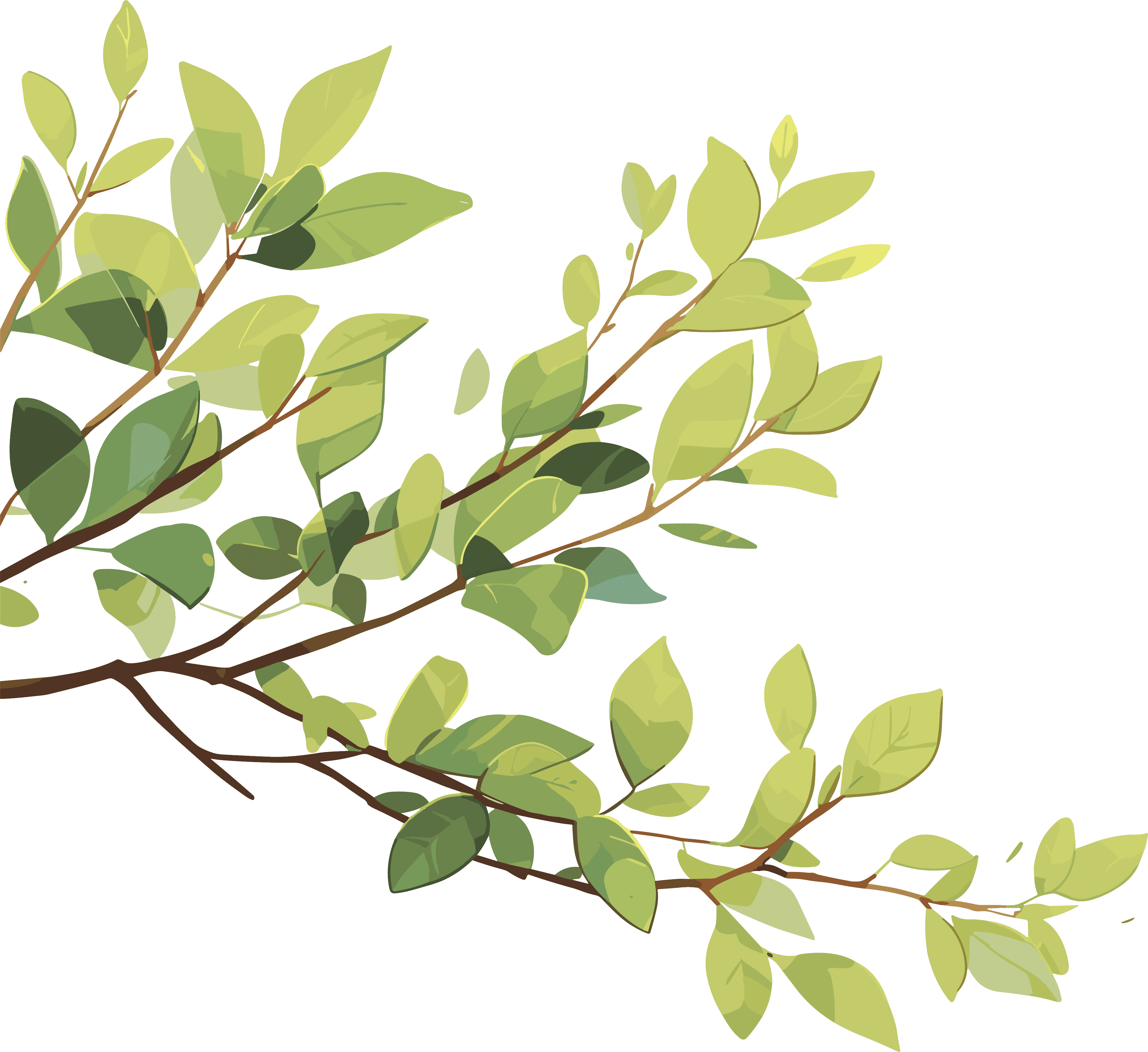 Illustration with a transparent background of tree branches