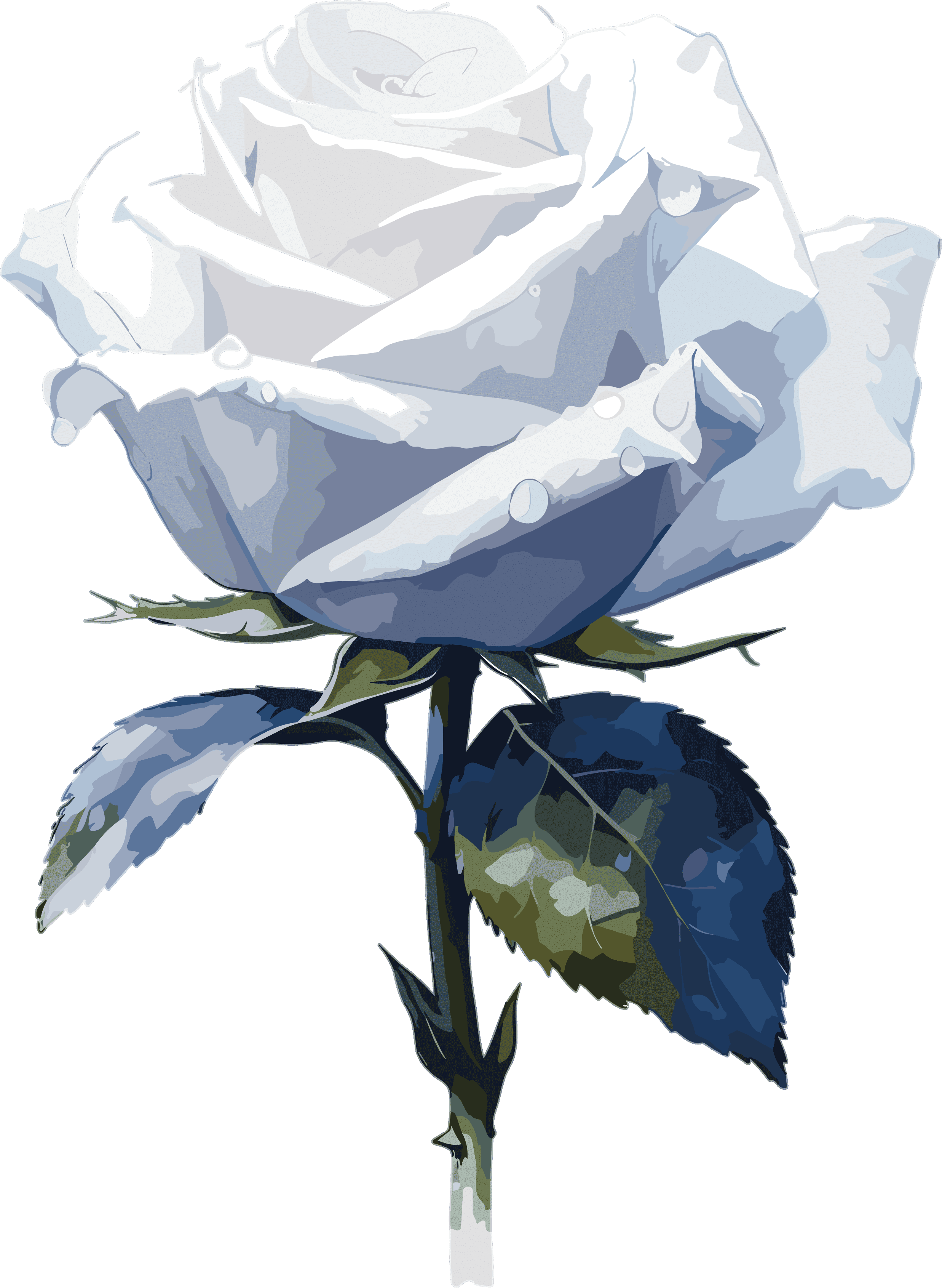 High-definition graphic rose illustration
