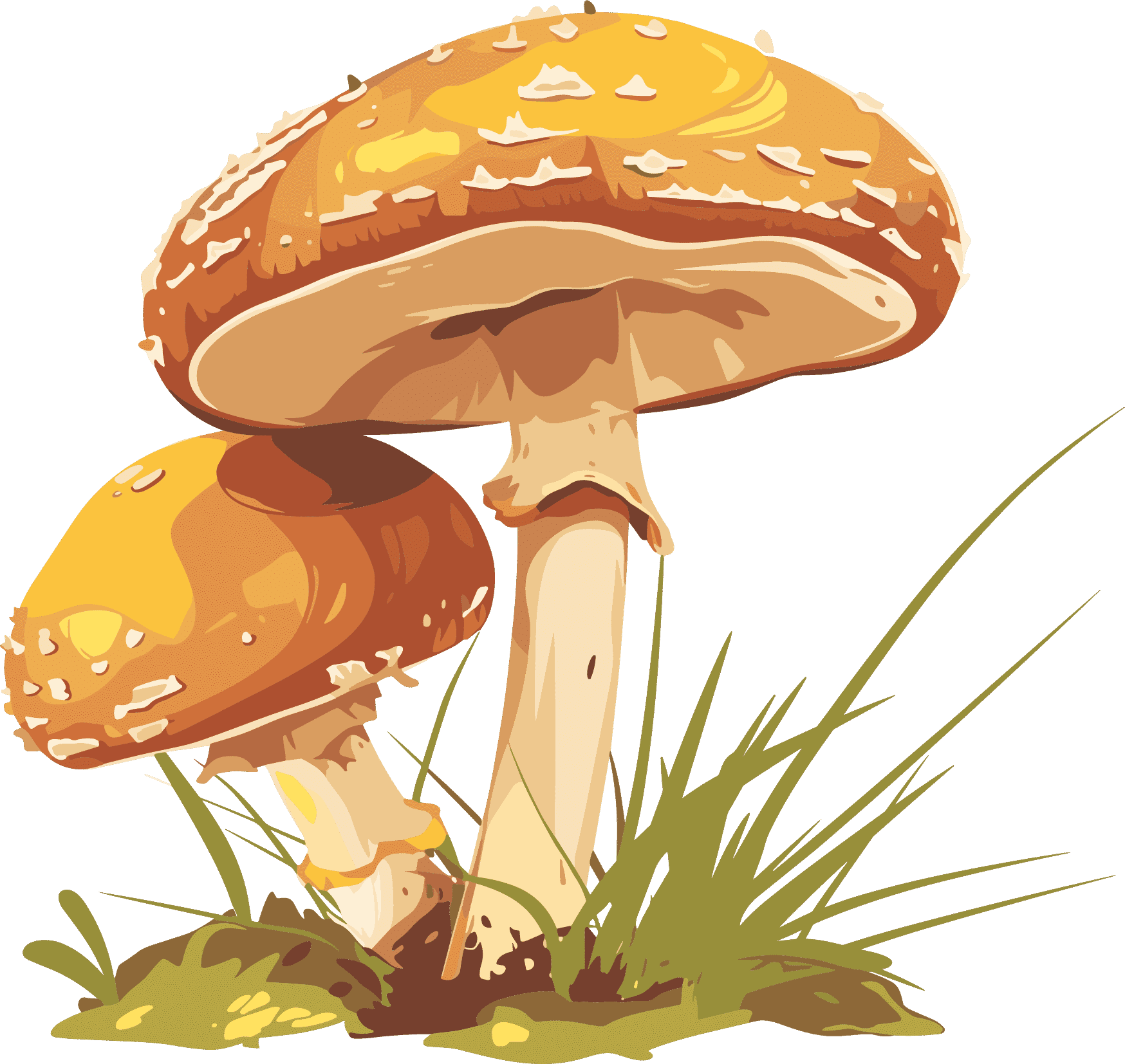 Mushroom commercial design elements