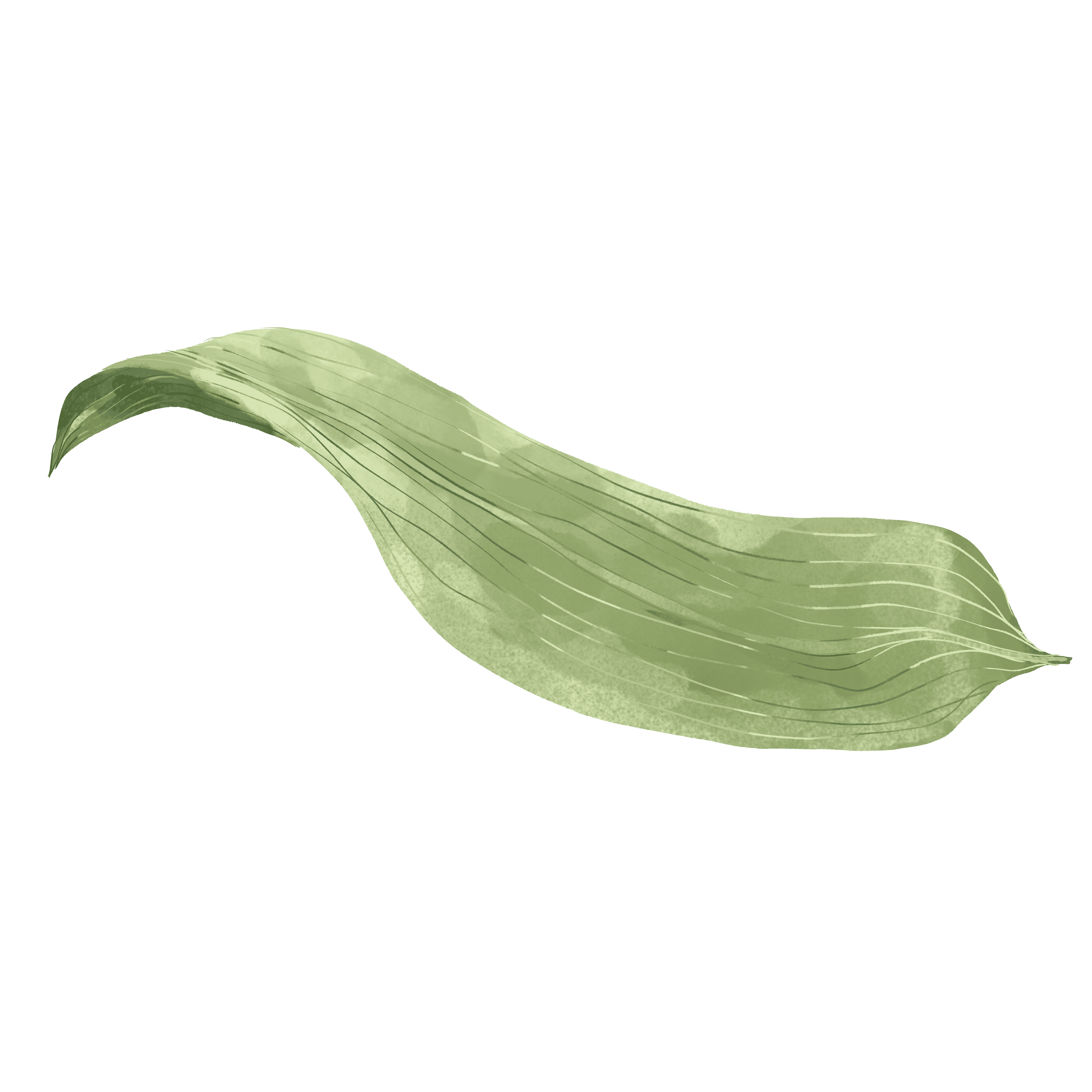 Green bamboo leaf illustration PNG material