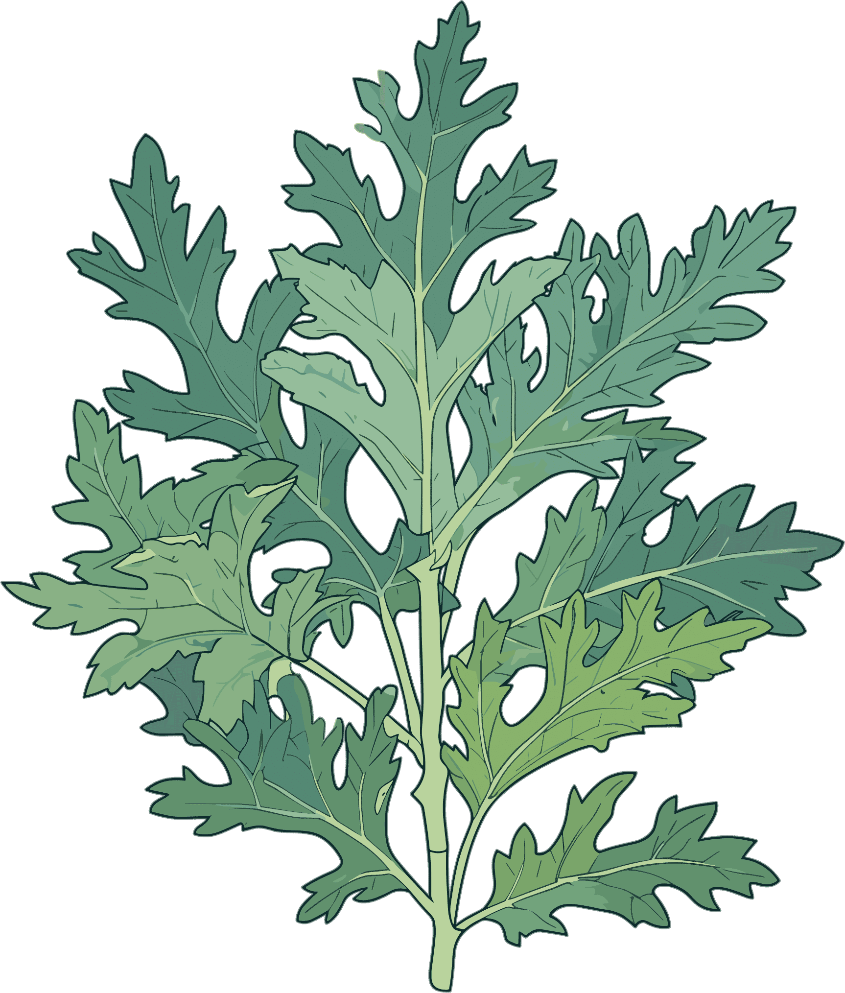 Mugwort material for the Dragon Boat Festival